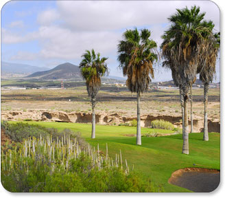 Golfplatz mit Palmen und Blick auf den Pico del Teide
