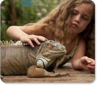 Mädchen streichelt Leguan