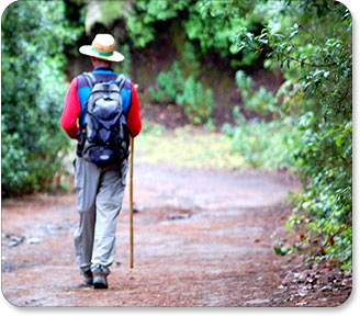 Wanderer im Grünen von hinten